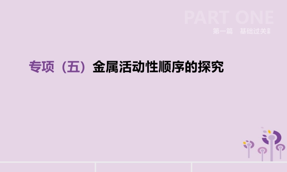 中考化学复习 第一篇 基础过关篇 专项05 金属活动性顺序的探究课件