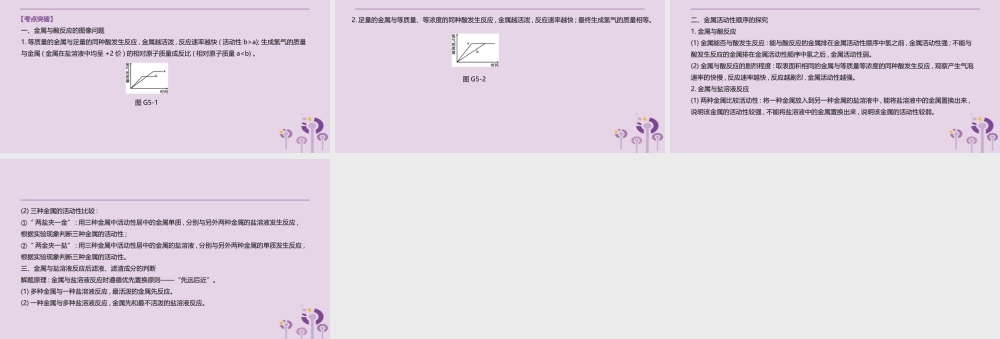 中考化学复习 第一篇 基础过关篇 专项05 金属活动性顺序的探究课件