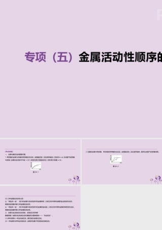 中考化学复习 第一篇 基础过关篇 专项05 金属活动性顺序的探究课件