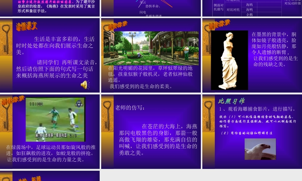 八年级语文海燕课件 鲁教版 课件