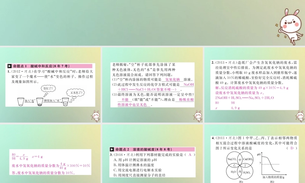 中考化学复习 主题一 身边的化学物质 第7讲 酸和碱的中和反应课件