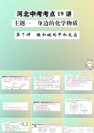 中考化学复习 主题一 身边的化学物质 第7讲 酸和碱的中和反应课件