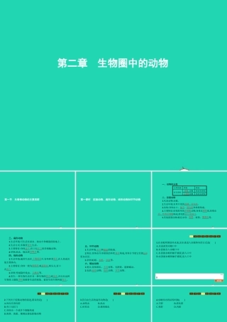 七年级生物上册 2.2.1 无脊椎动物的主要类群(第1课时 腔肠动物 扁形动物 线形动物和环节动物)课件 (新版)济南版 课件