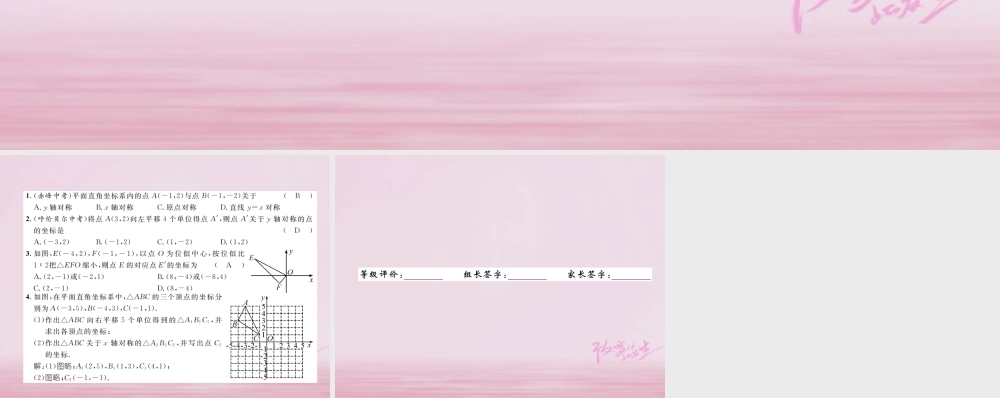 九年级数学上册 第23章 图形的相似 236 图形与坐标 2362 图形的变换与坐标练习课件 (新版)华东师大版 课件