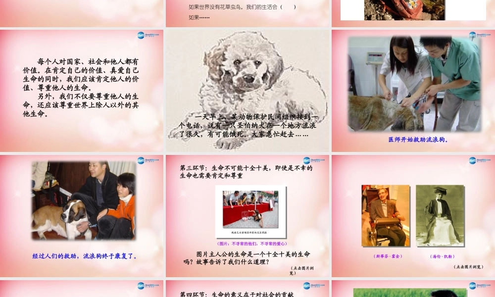 中学七年级政治上册 3.2 让生命之花绽放课件2 新人教版 课件