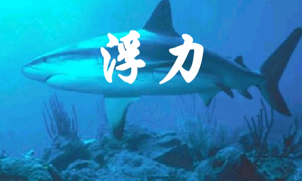 九年级物理 浮力复习课件 人教新课标版 课件