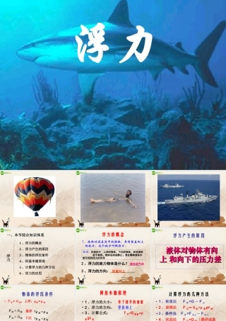 九年级物理 浮力复习课件 人教新课标版 课件