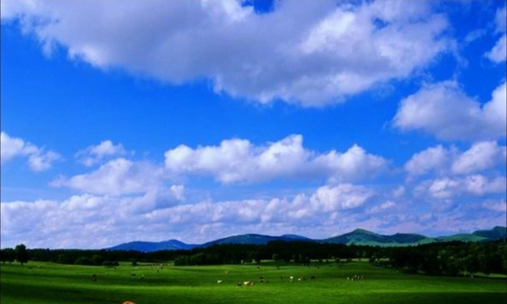 八年级语文下册(孙权劝学)公开课 课件 语文版 课件