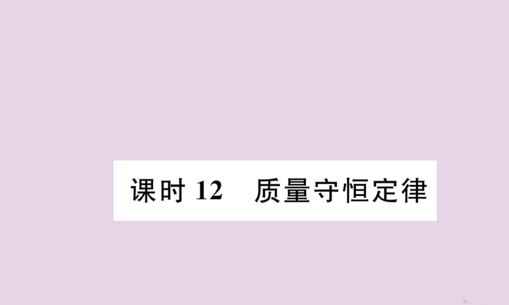 中考化学总复习 第1编 主题复习 模块3 物质的化学变化 课时12 质量守恒定律(精讲)课件