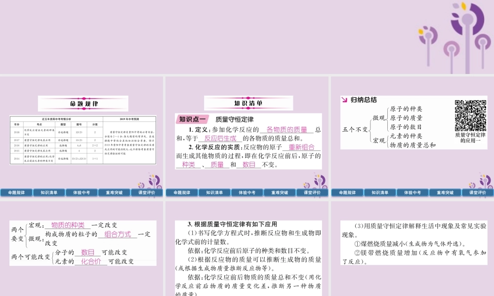 中考化学总复习 第1编 主题复习 模块3 物质的化学变化 课时12 质量守恒定律(精讲)课件