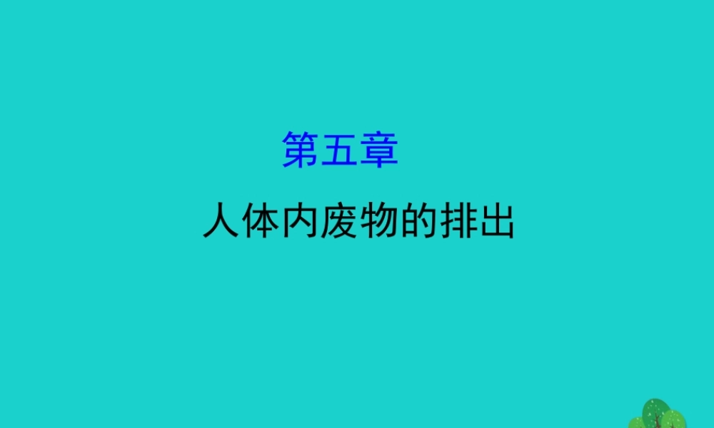 七年级生物下册 4.5人体内废物的排出习题课件(新版)新人教版 课件