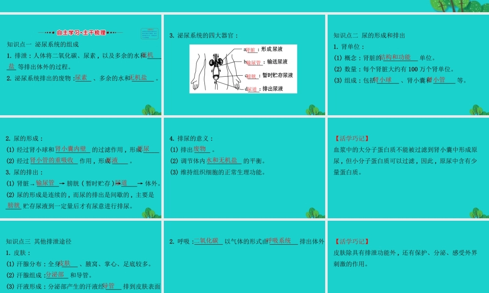 七年级生物下册 4.5人体内废物的排出习题课件(新版)新人教版 课件
