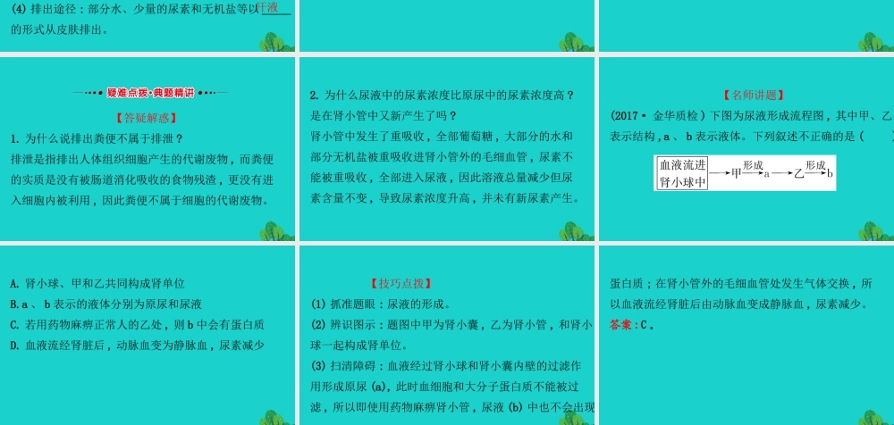 七年级生物下册 4.5人体内废物的排出习题课件(新版)新人教版 课件