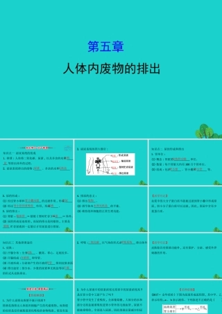 七年级生物下册 4.5人体内废物的排出习题课件(新版)新人教版 课件