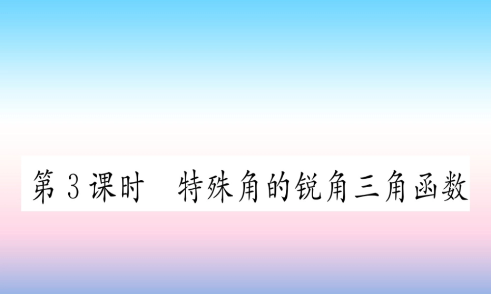 九年级数学下册 第28章 锐角三角函数 281 锐角三角函数 第3课时 特殊角的锐角函数课堂导练课件(含中考真题)(新版)新人教版 课件