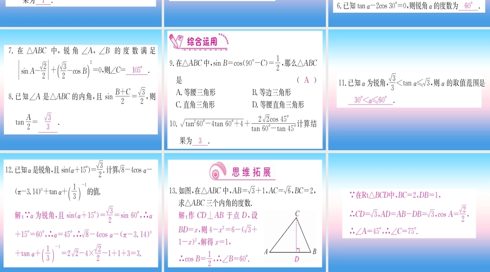 九年级数学下册 第28章 锐角三角函数 281 锐角三角函数 第3课时 特殊角的锐角函数课堂导练课件(含中考真题)(新版)新人教版 课件
