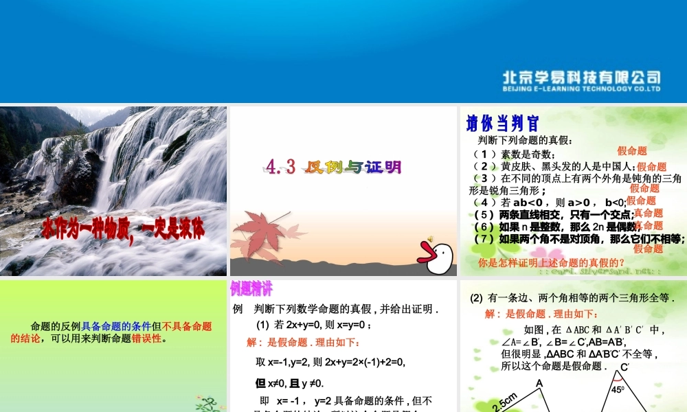 八年级数学下册 第四章第三节(反例与证明) 课件 浙教版 课件