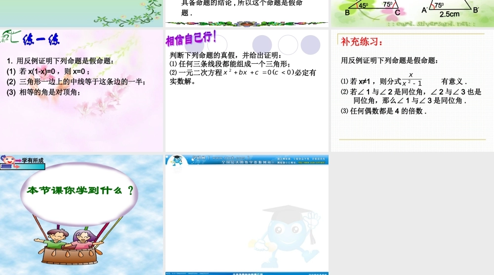 八年级数学下册 第四章第三节(反例与证明) 课件 浙教版 课件