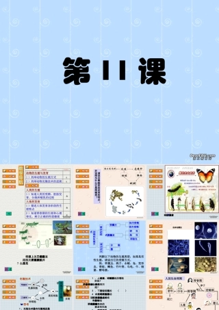 初三总复习第11课 动物与人的生殖和发育 浙教版 试题