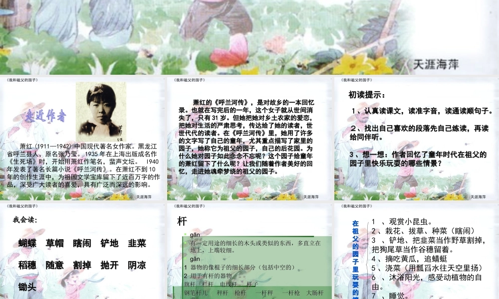 我和祖父的园子PPT