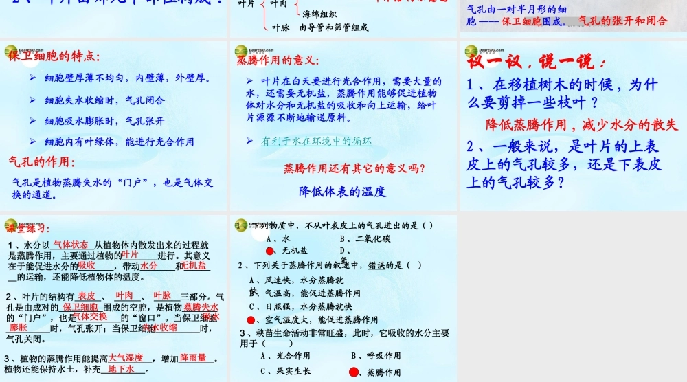 中学七年级生物上册(3.3 绿色植物参与生物圈的水循环)课件 新人教版 课件
