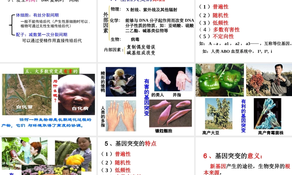 科学·技术·社会-基因治疗-(2)