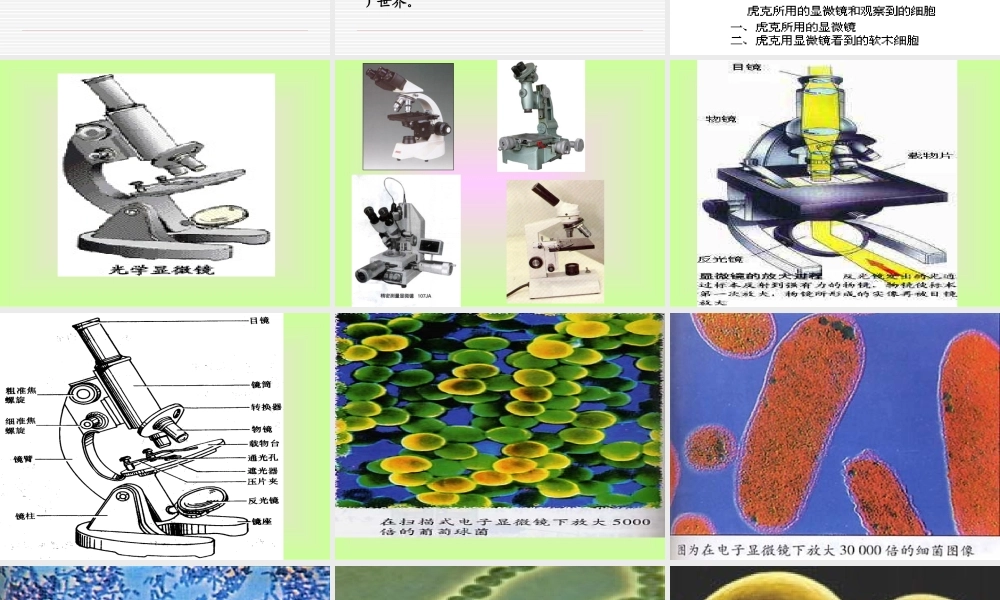 703人教版小学语文三年级上册《玩出了名堂》PPT课件