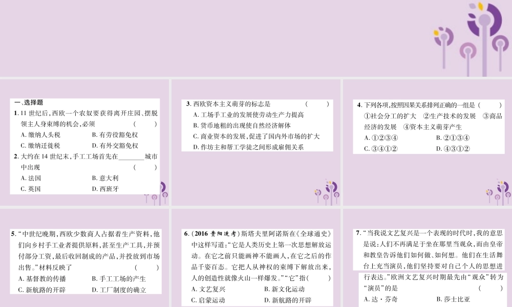中考历史总复习 第一编 教材知识速查篇 模块三 世界近代史 第15讲 步入近代(精练)课件