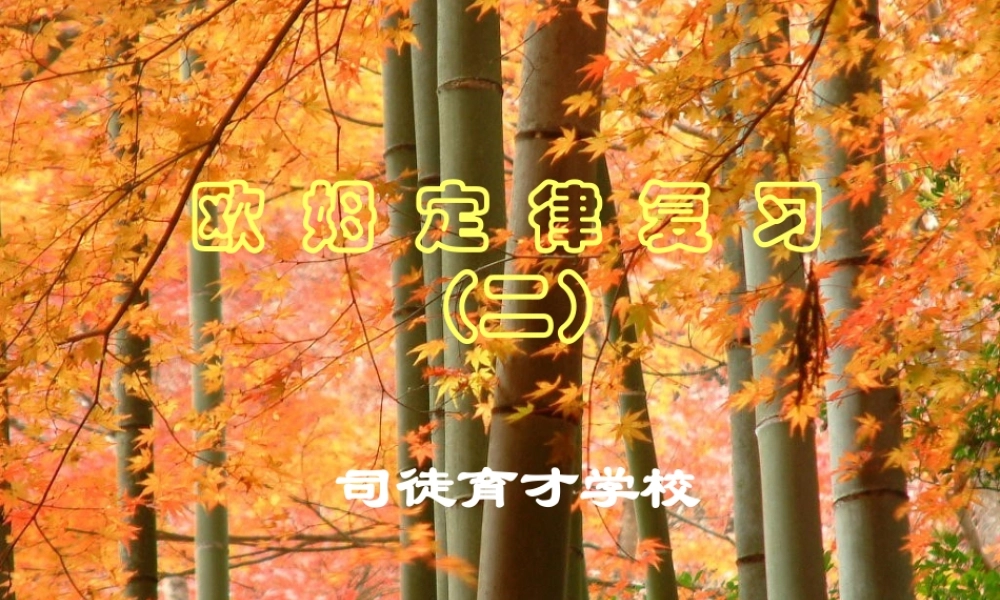 初三物理欧姆定律复习课件 苏教版 课件