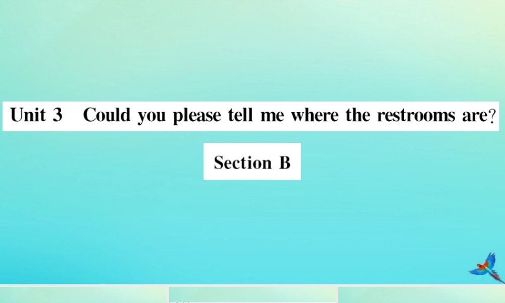 九年级英语全册 Unit 3 Could you please tell me where the restrooms are Section B习题课件 (新版)人教新目标版 课件