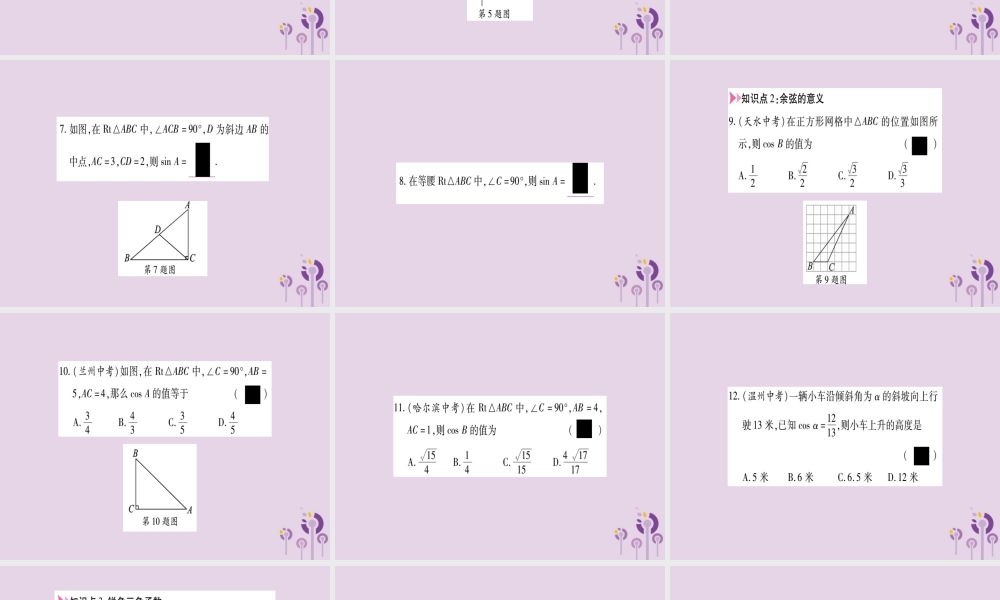 九年级数学上册 第23章 解直角三角形 231 锐角的三角函数 2311 锐角的三角函数 第2课时 正弦和余弦作业课件 (新版)沪科版 课件