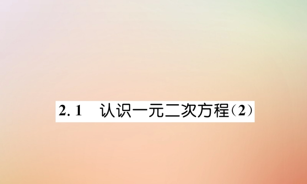 九年级数学上册 第2章 一元二次方程 21 认识一元二次方程(2)作业课件 (新版)北师大版 课件