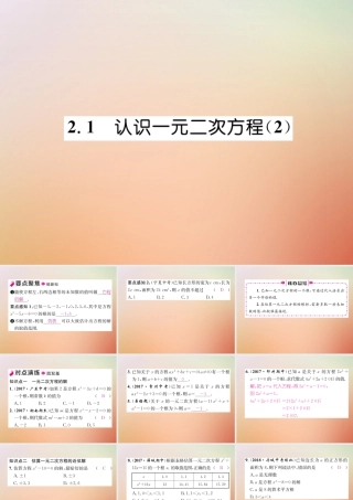 九年级数学上册 第2章 一元二次方程 21 认识一元二次方程(2)作业课件 (新版)北师大版 课件
