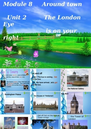 八年级英语上册 Module 8 Unit 2精品课件 外研版(小学起点)