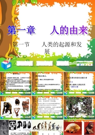 七年级生物下册：第四单元第一章第一节人类的起源和发展4课件 人教版 课件