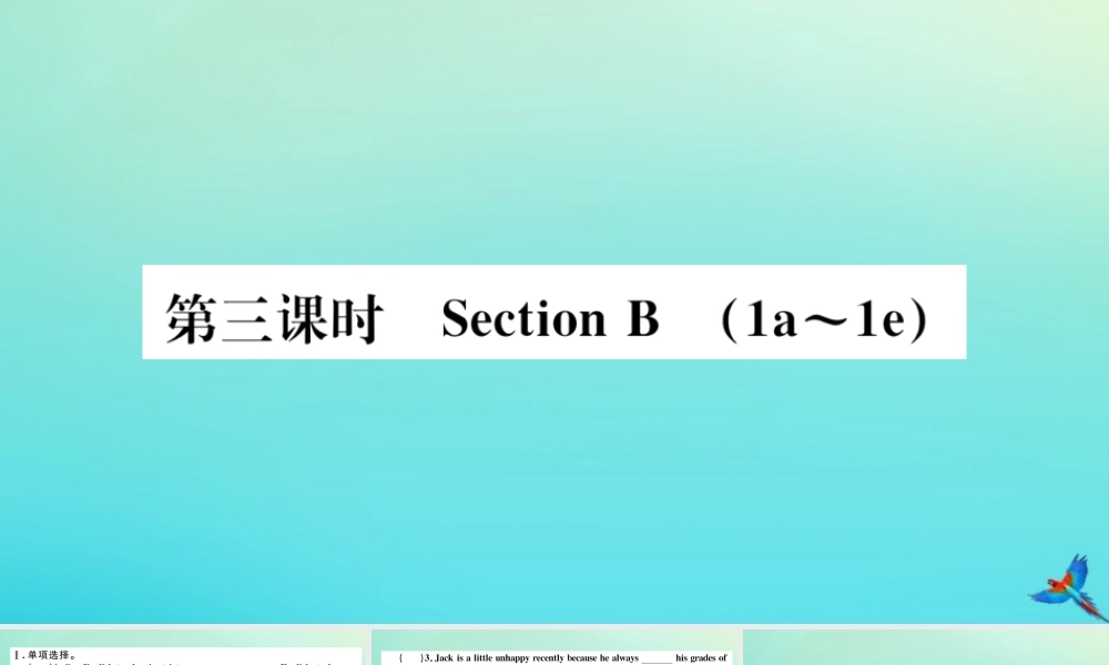 九年级英语全册 Unit 7 Teenagers should be allowed to choose their own clothes(第3课时)习题课件 (新版)人教新目标版 课件