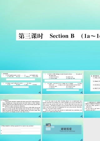 九年级英语全册 Unit 7 Teenagers should be allowed to choose their own clothes(第3课时)习题课件 (新版)人教新目标版 课件