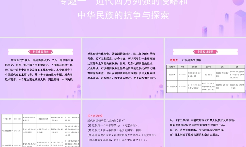 中考历史复习 专题一 近代西方列强的侵略和课件