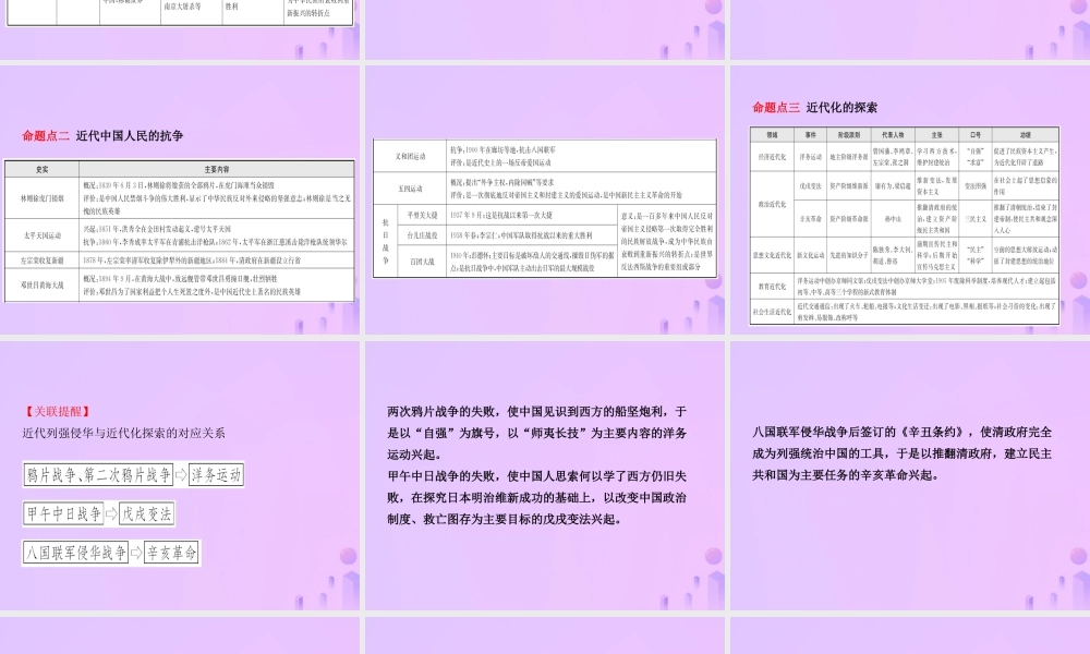 中考历史复习 专题一 近代西方列强的侵略和课件
