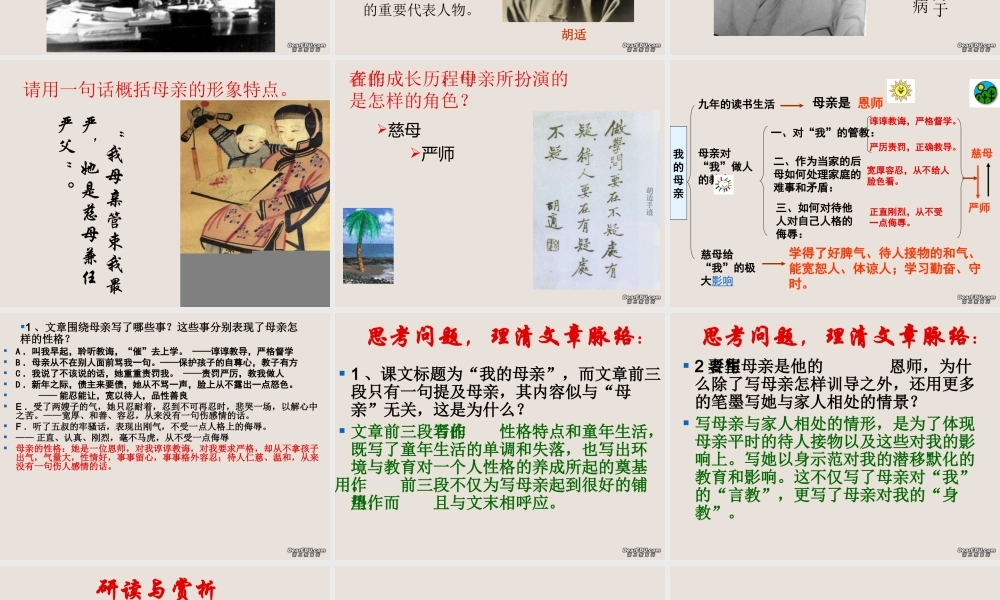 八年级语文我的母亲课件 人教版 课件