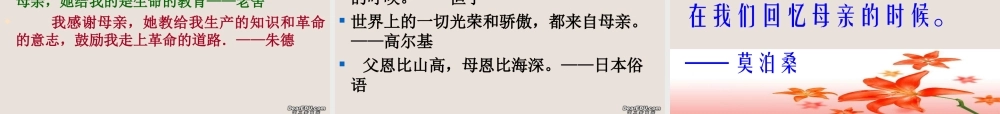 八年级语文我的母亲课件 人教版 课件