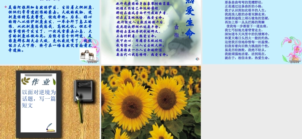 九年级语文热爱生命课件 苏教版 课件