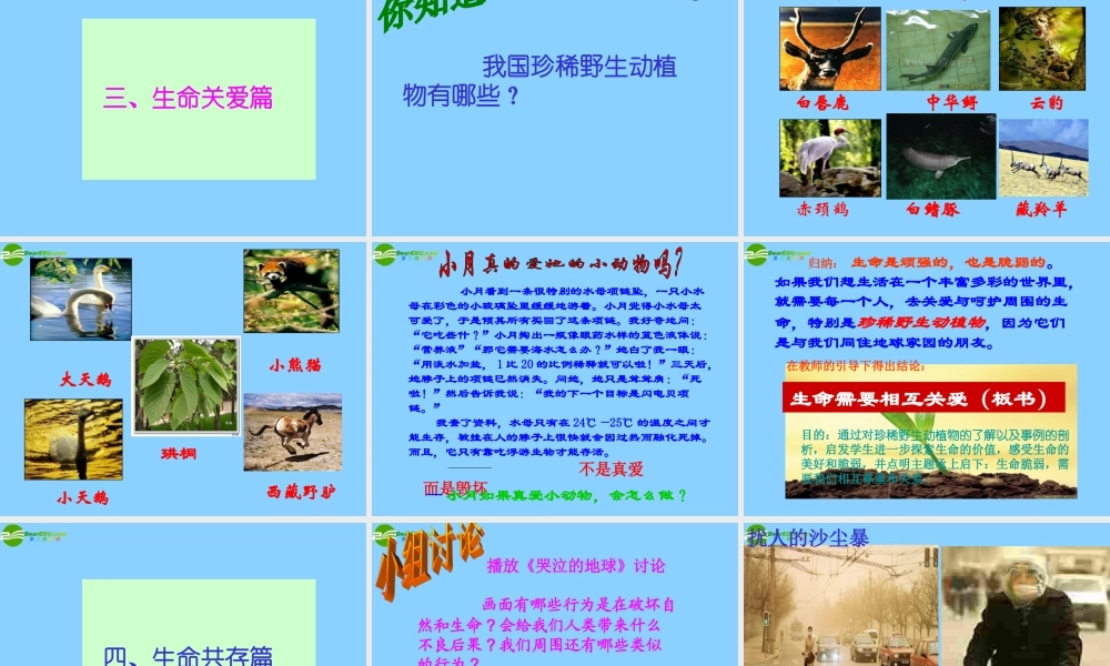 中学七年级政治上册(23.1 世界因生命而精彩)课件 新人教版 课件