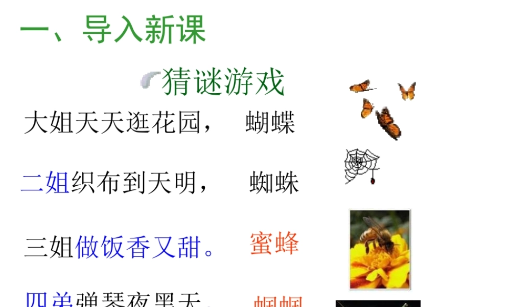 《绿色蝈蝈》课件7