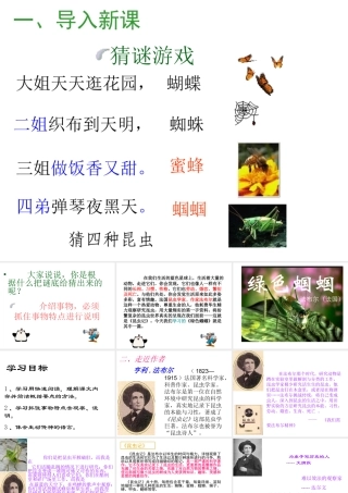 《绿色蝈蝈》课件7
