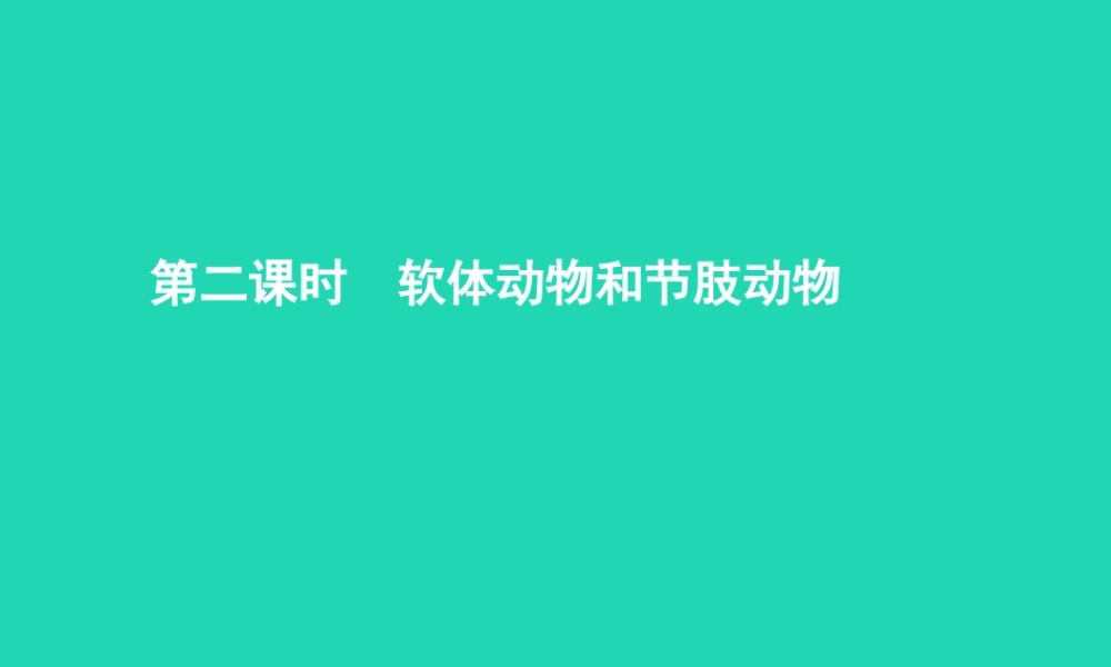 七年级生物上册 2.2.1 无脊椎动物的主要类群(第2课时 软体动物和节肢动物)课件 (新版)济南版 课件