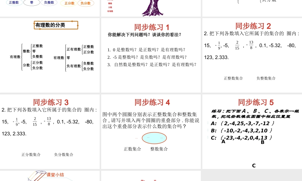 1.2.1-有理数.2.1-有理数课件