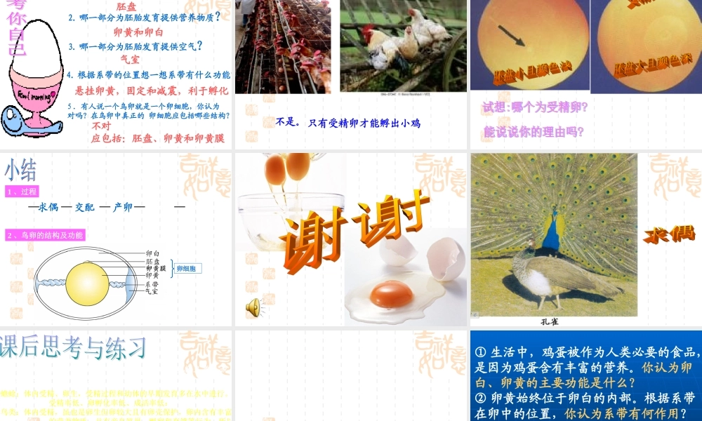 八年级生物 鸟的生殖和发育课件