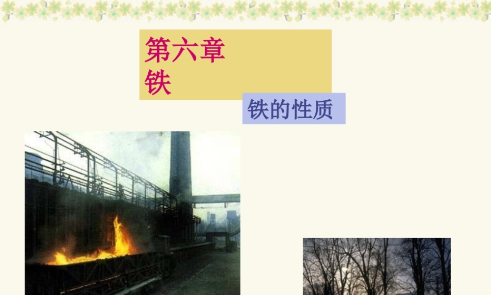 广西省壮族自治区初三化学铁 课件