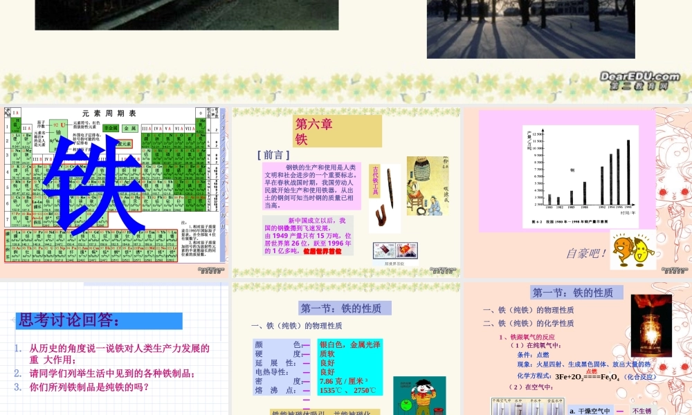 广西省壮族自治区初三化学铁 课件